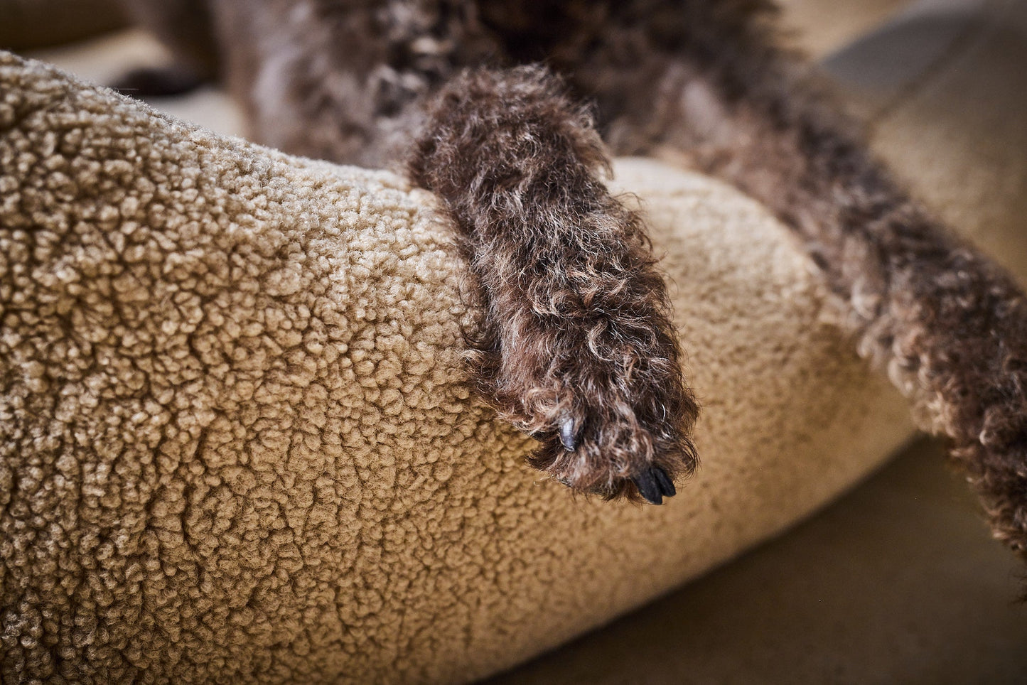 LABONI Hundebett / Katzenbett CLASSIC Bezug Teddy