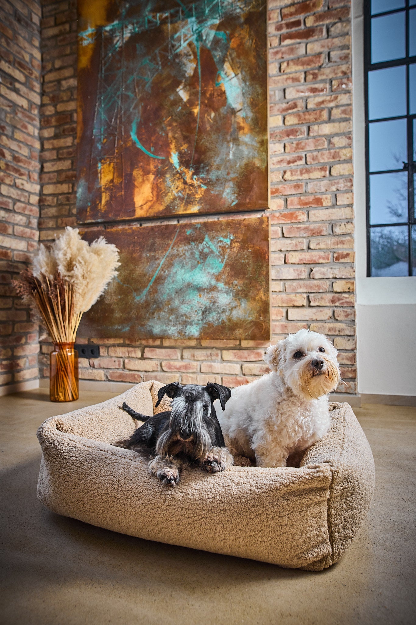 LABONI Hundebett / Katzenbett CLASSIC Bezug Teddy