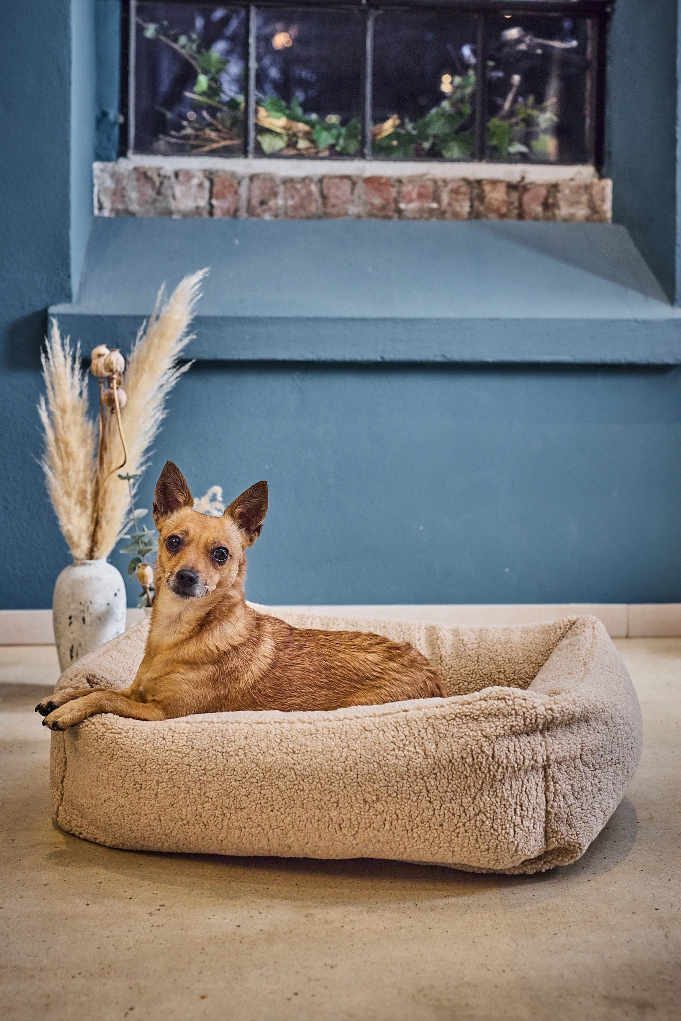 LABONI Hundebett / Katzenbett CLASSIC Bezug Teddy