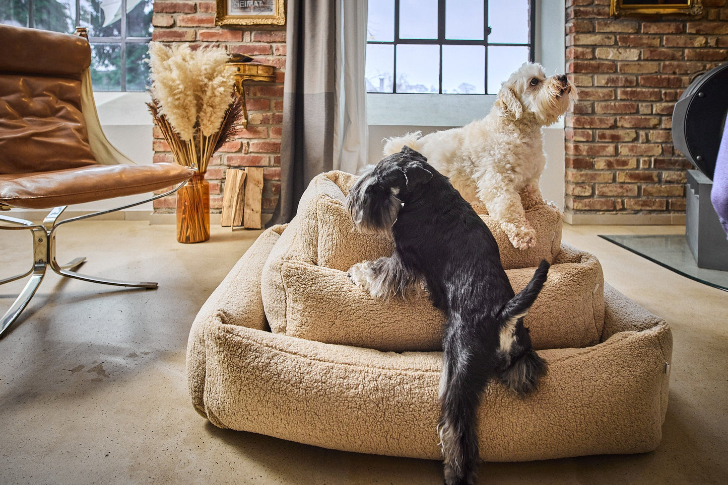 LABONI Hundebett / Katzenbett CLASSIC Bezug Teddy