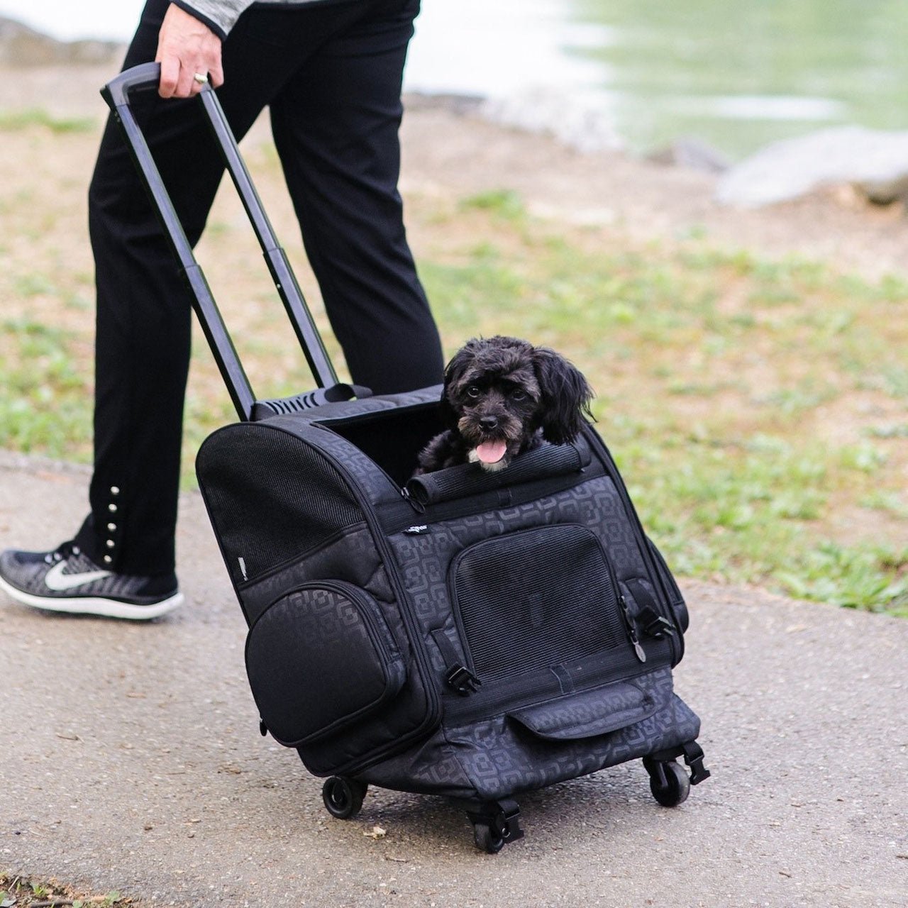 InnoPet® Hundetrolley "Roller Carrier" - Askmy4Cats