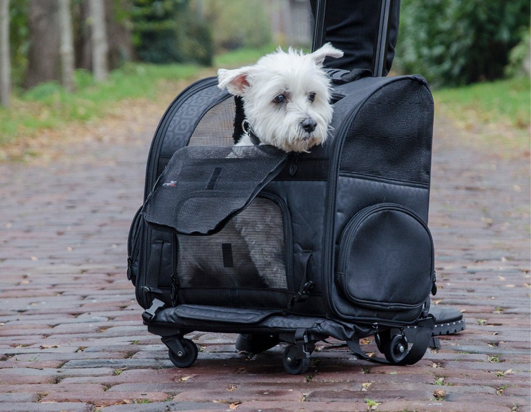 InnoPet® Hundetrolley "Roller Carrier" - Askmy4Cats
