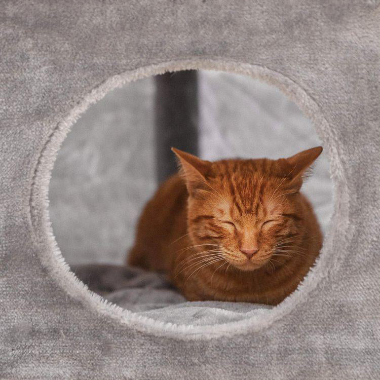 Robuster Luxus Katzen Kratzbaum
