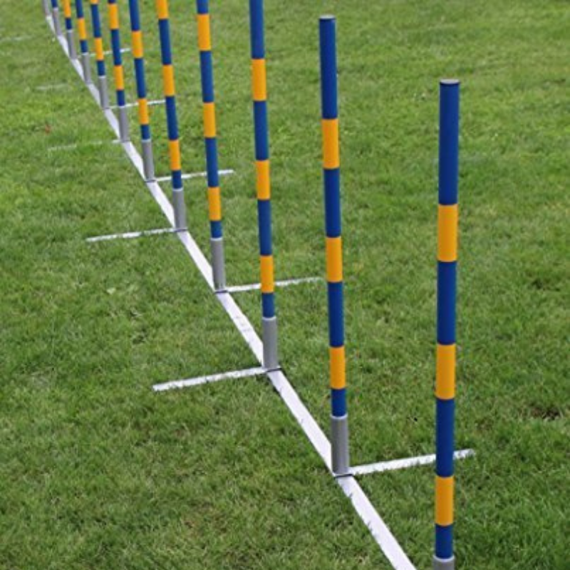 TOPMAST Professioneller Agility Slalom - 12 Stangen