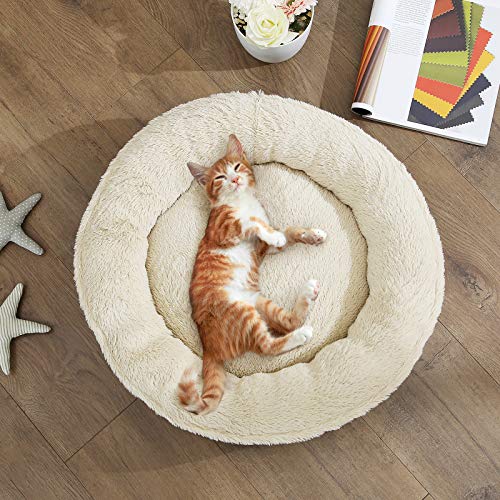 Askmy4Cats - Hunde- und Katzenbett - Askmy4Cats