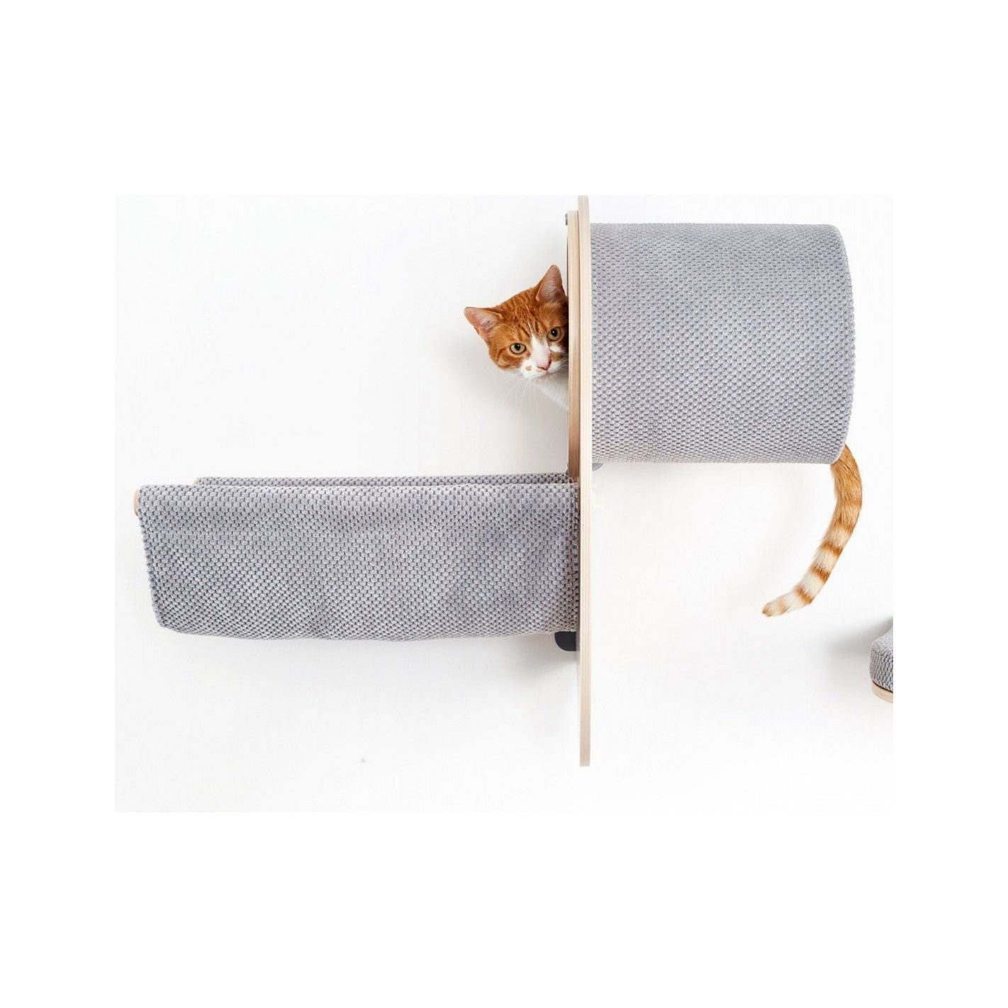 Cosy and Dozy - Catwalk Play - Askmy4Cats