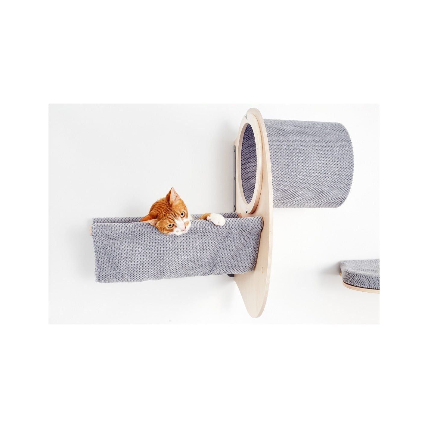 Cosy and Dozy - Catwalk Play - Askmy4Cats