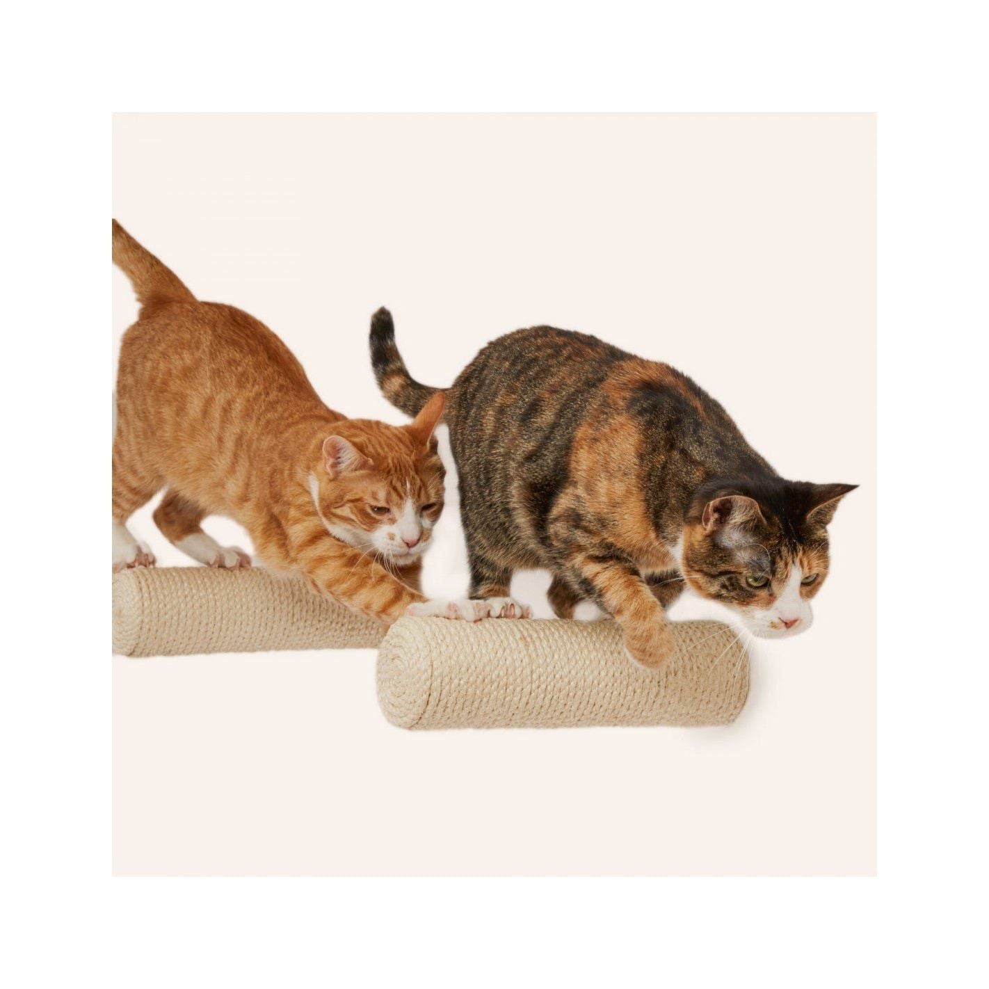 Cosy and Dozy Kletterstufe für die Katze - Askmy4Cats