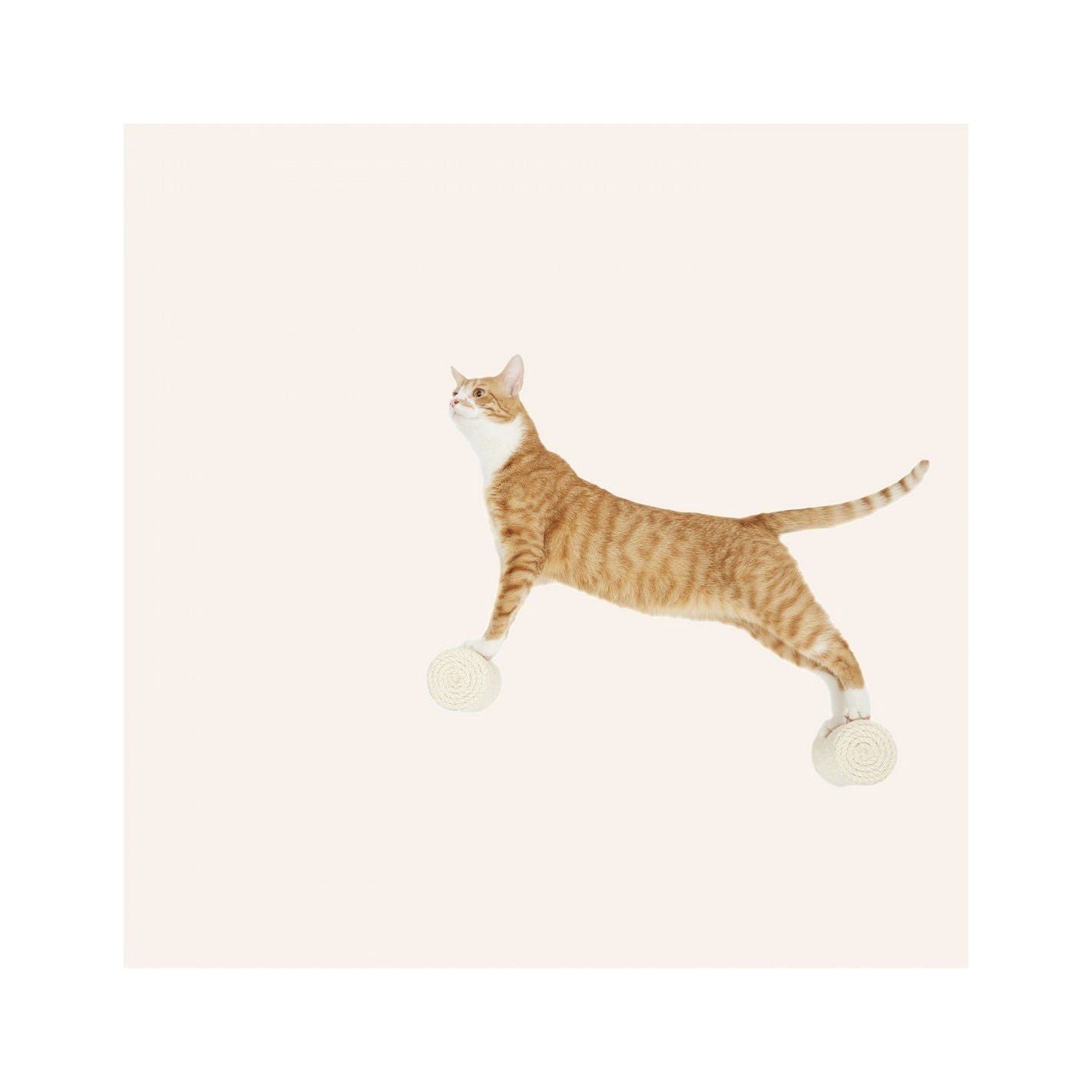 Cosy and Dozy Kletterstufe für die Katze - Askmy4Cats