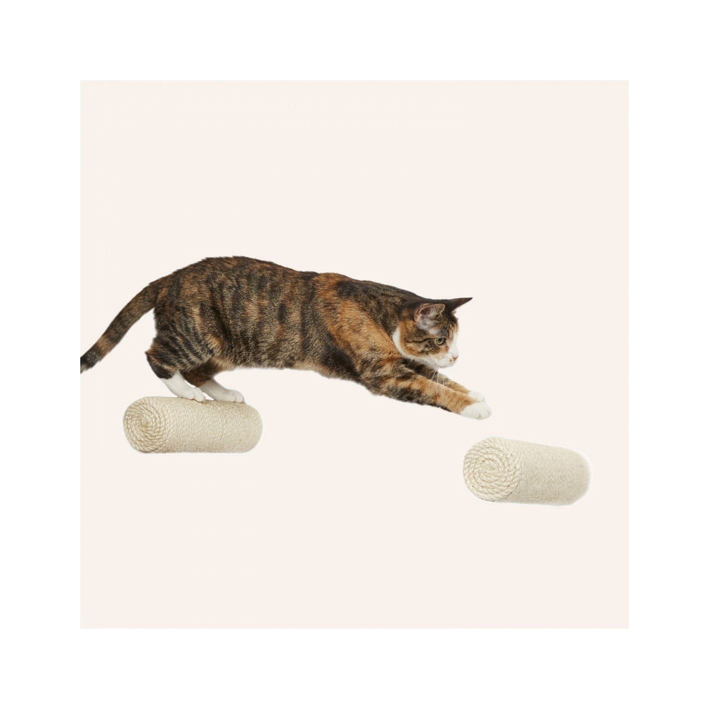 Cosy and Dozy Kletterstufe für die Katze - Askmy4Cats