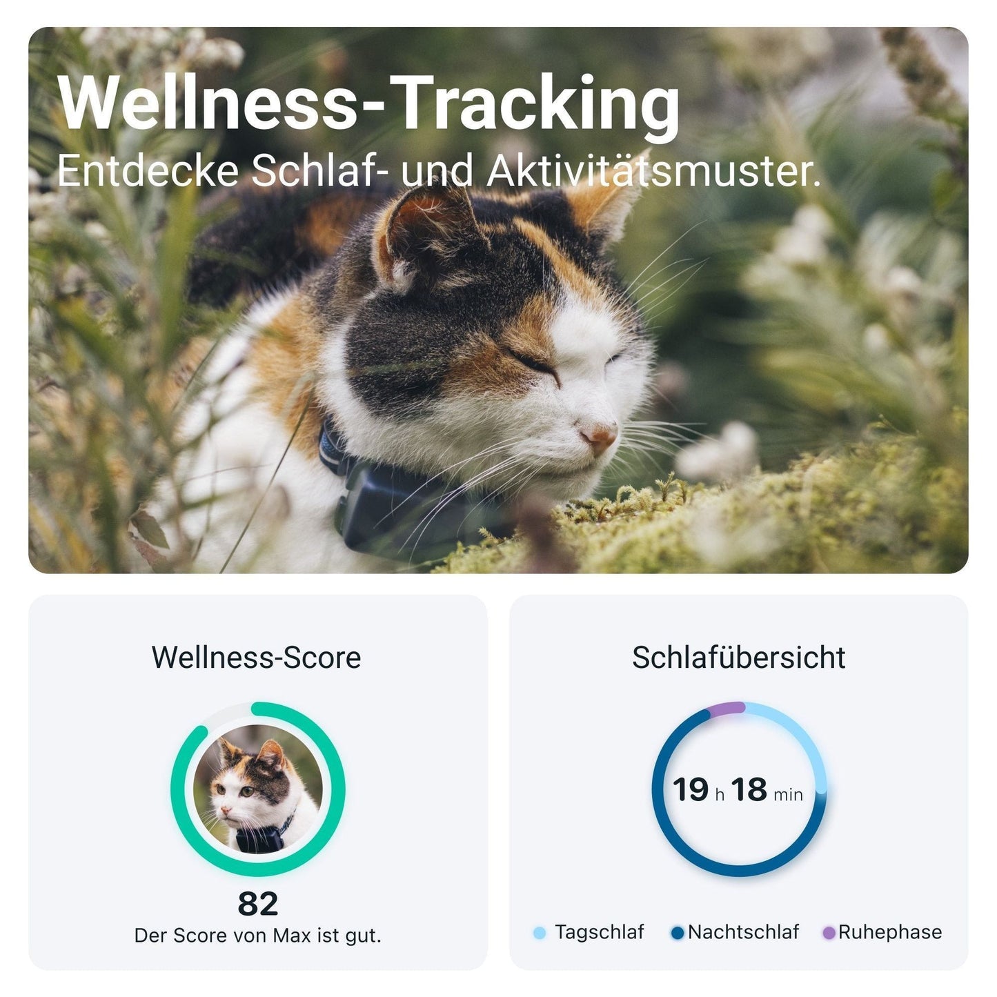 GPS Tracker TRACTIVE CAT Mini - Askmy4Cats