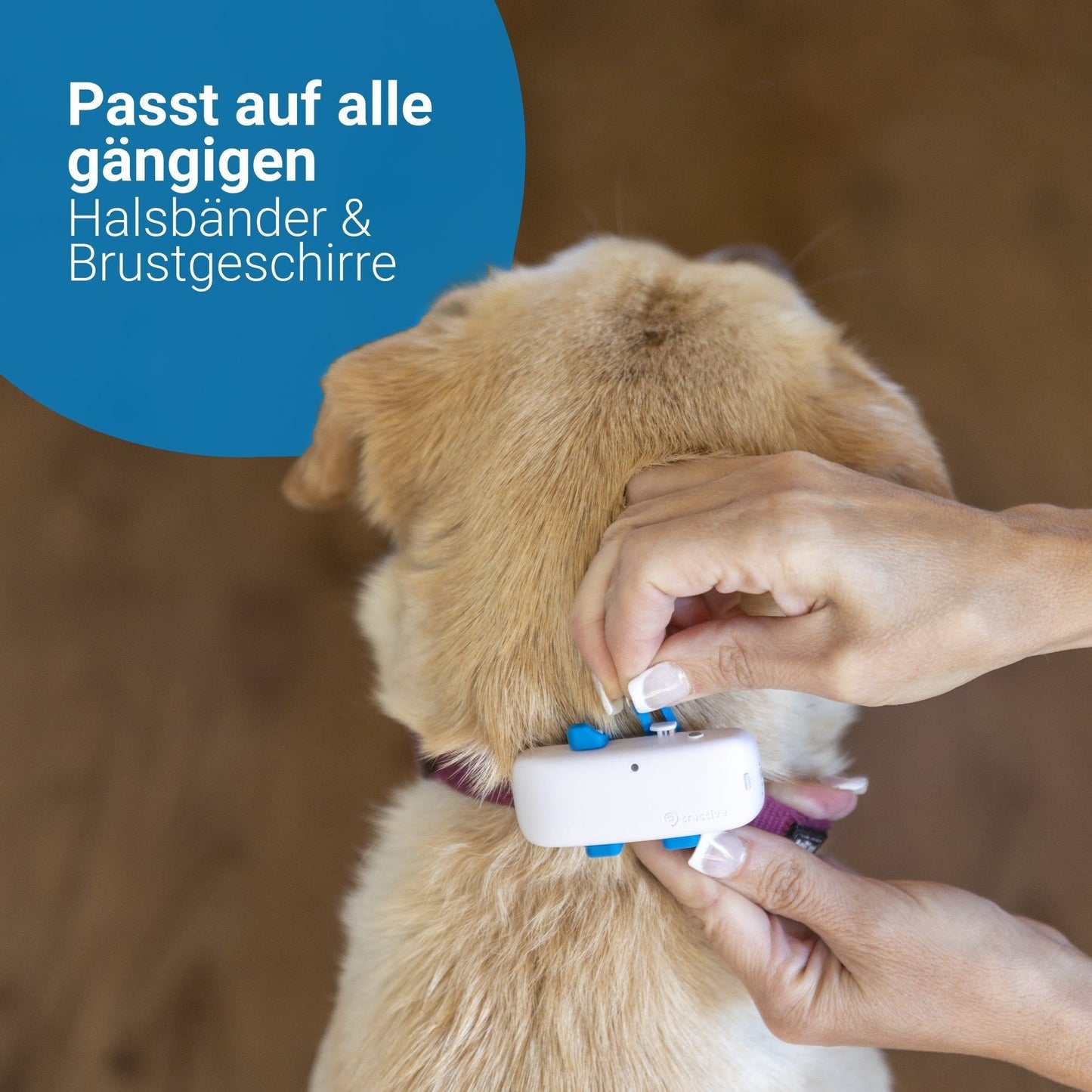 GPS Tracker TRACTIVE DOG 4 - Askmy4Cats