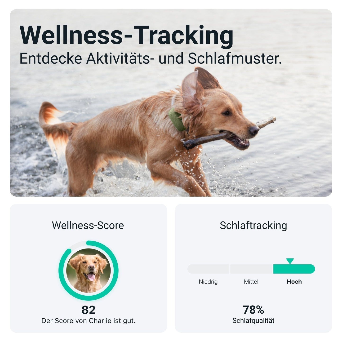 GPS Tracker TRACTIVE DOG XL - Askmy4Cats