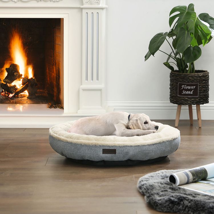 Hunde- und Katzenbett - Askmy4Cats