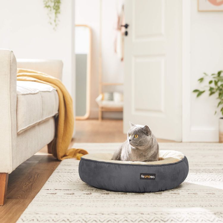 Hunde- und Katzenbett - Askmy4Cats