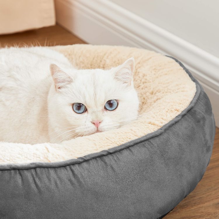 Hunde- und Katzenbett - Askmy4Cats