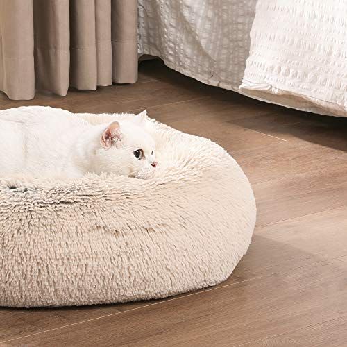 Hunde- und Katzenbett - Askmy4Cats