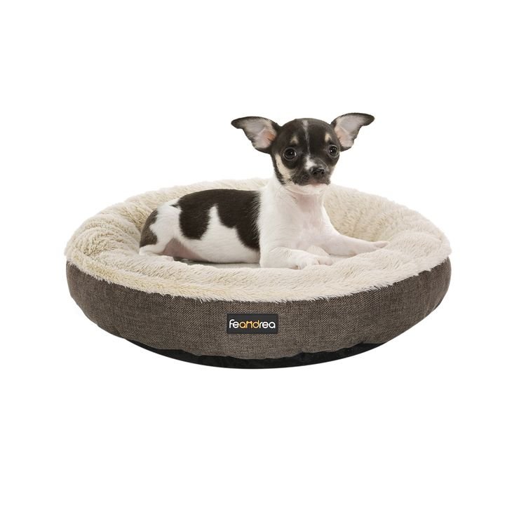 Hunde- und Katzenbett - Askmy4Cats