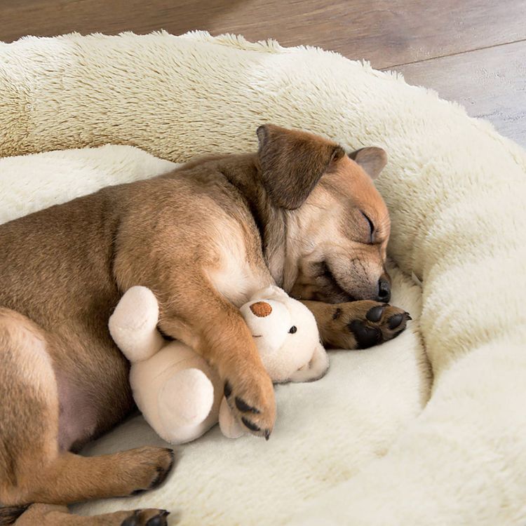 Hunde- und Katzenbett - Askmy4Cats