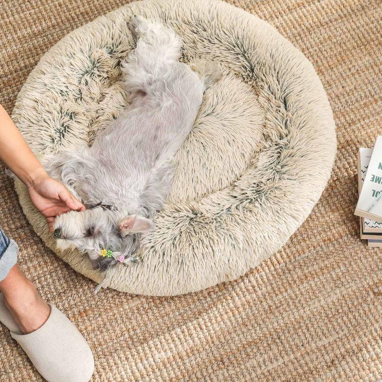 Hunde- und Katzenbett - Askmy4Cats