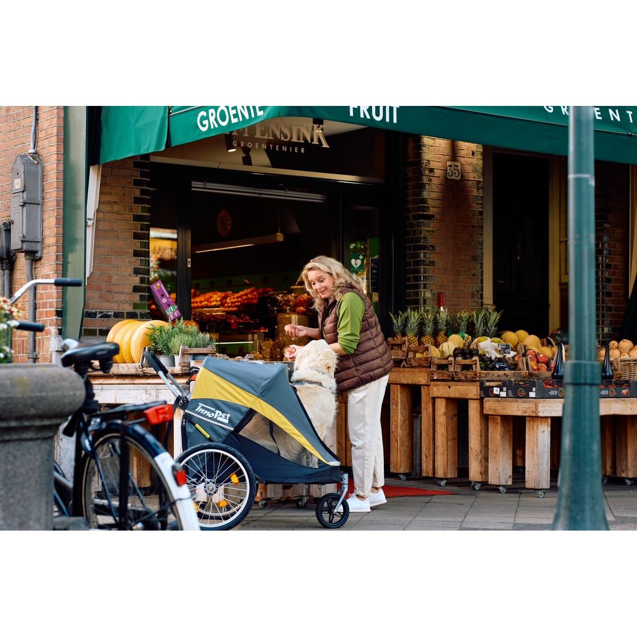 InnoPet® Hundebuggy "Hercules" inkl. Regenhaube, mit oder ohne Anhänger Umbausatz - Askmy4Cats