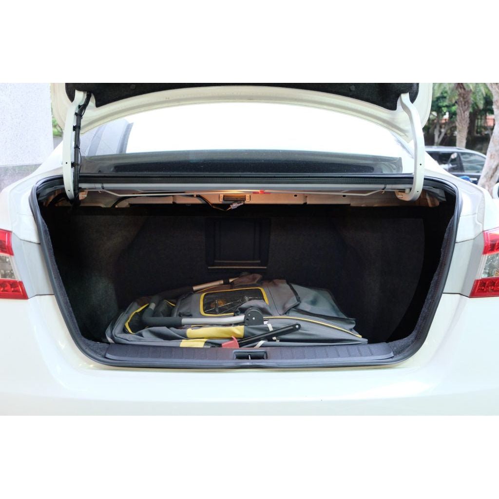 InnoPet® Hundebuggy "Hercules" inkl. Regenhaube, mit oder ohne Anhänger Umbausatz - Askmy4Cats