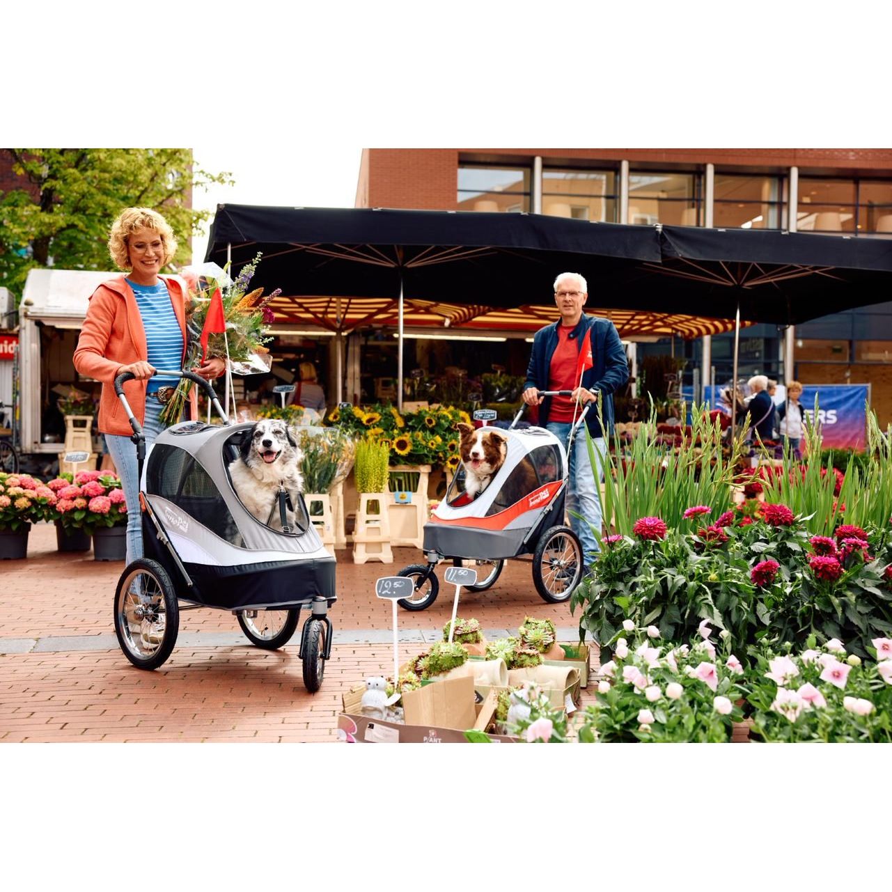 InnoPet® Hundebuggy/Fahrradanhänger "Sporty Trailer" inkl. Regenhaube - Askmy4Cats