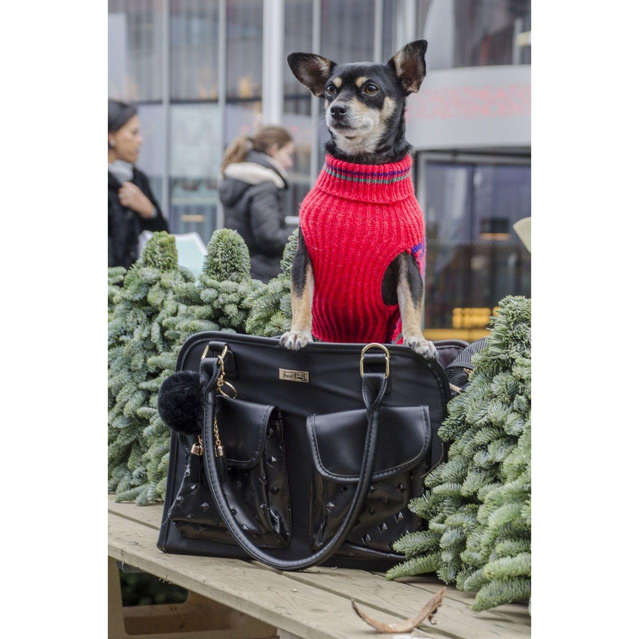 InnoPet® Hundetasche/Katzentasche "Jaguar" - Askmy4Cats