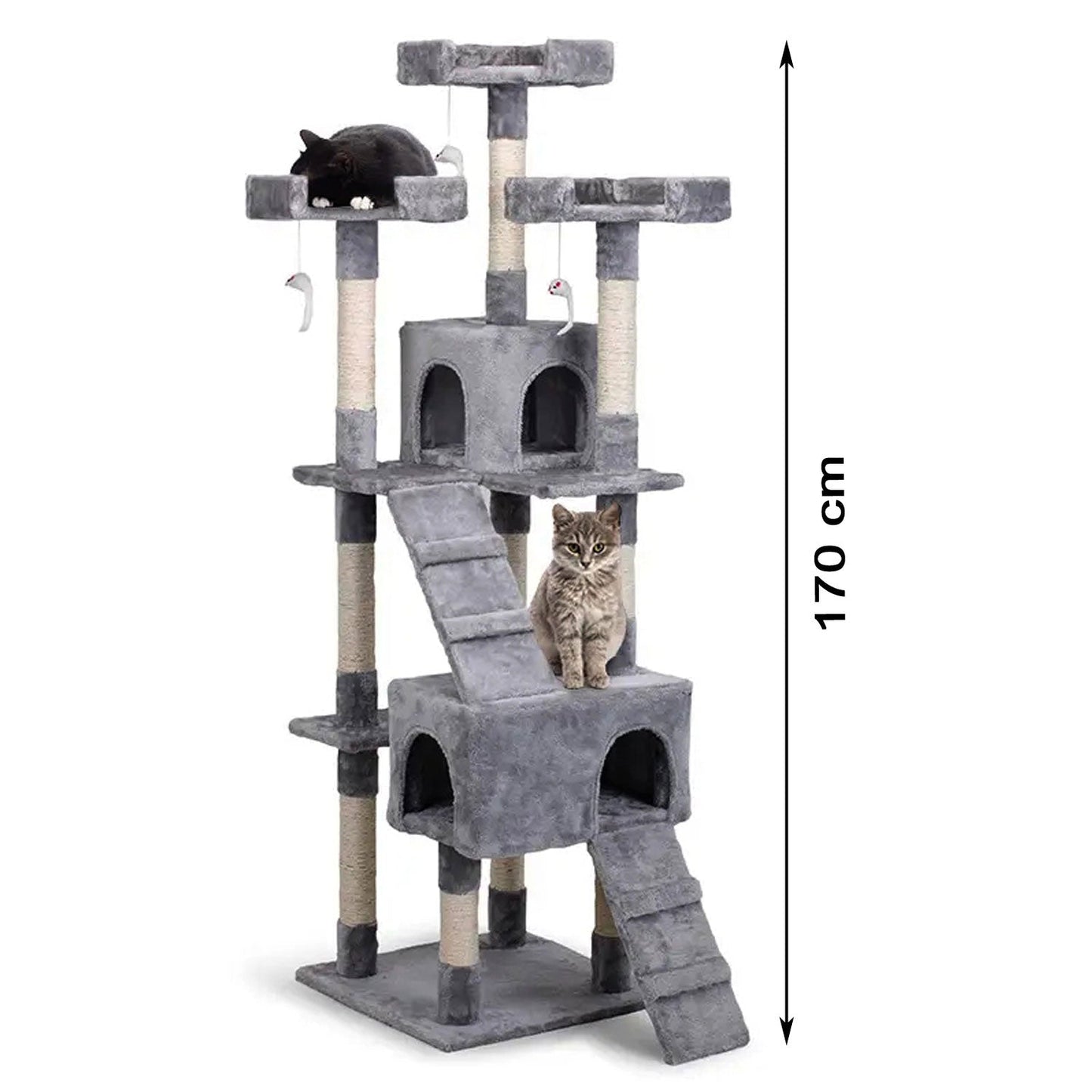 Katzen Kratzbaum Diego 170 cm - Askmy4Cats