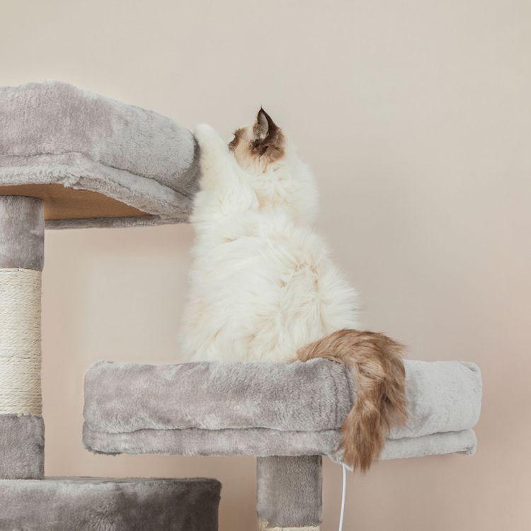 Kratzbaum hoch XL 206 cm - Askmy4Cats