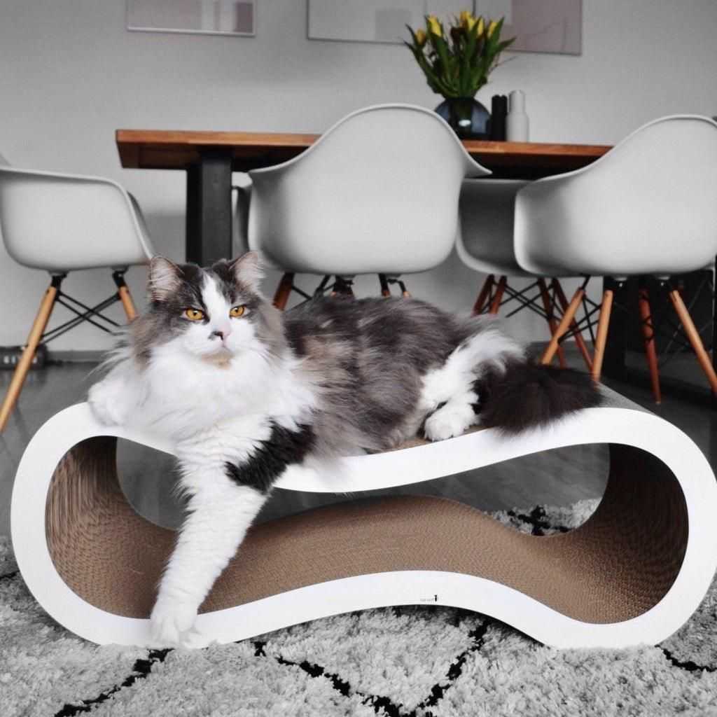 Kratzmöbel SINGHA - Askmy4Cats