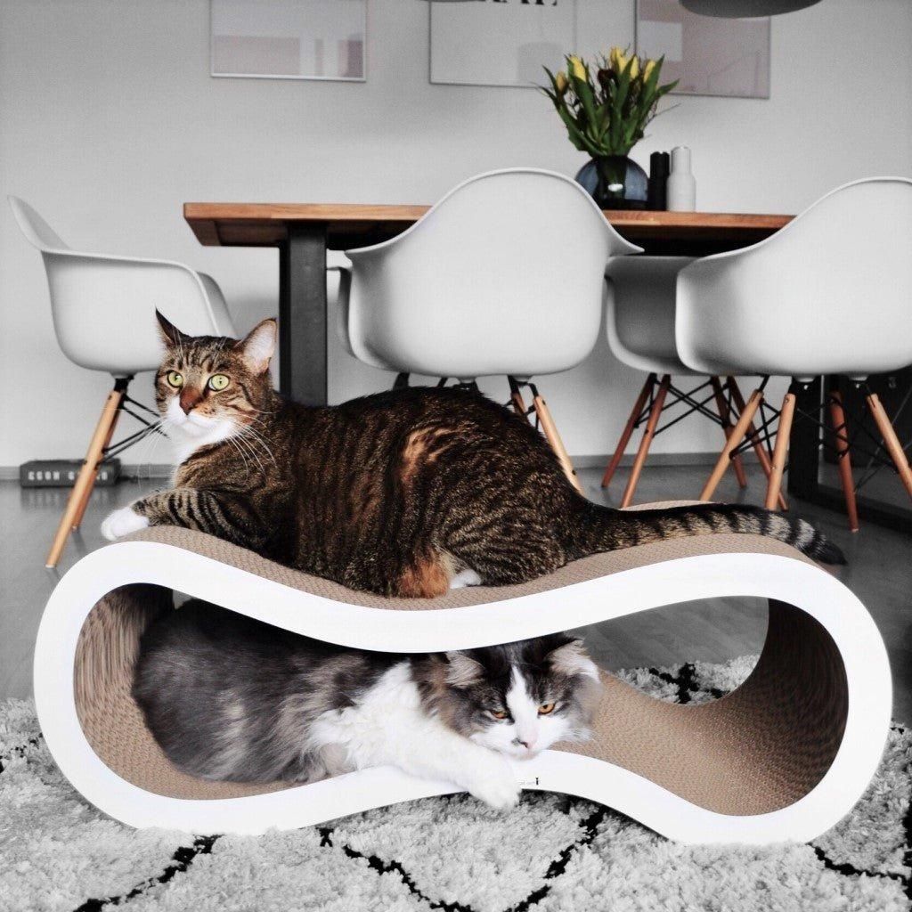 Kratzmöbel SINGHA - Askmy4Cats