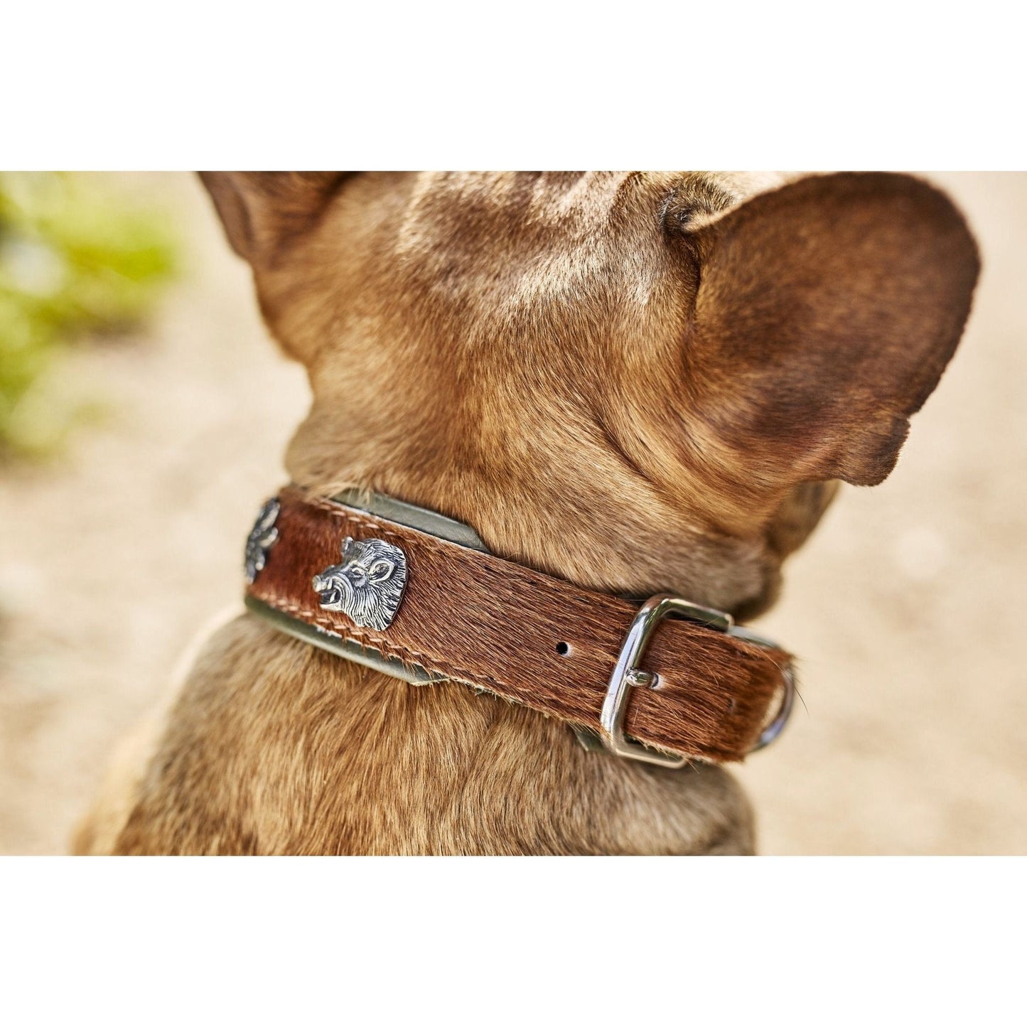 LABONI BAVARIA - Exklusives Hundehalsband im aufregenden Material-Mix - Askmy4Cats