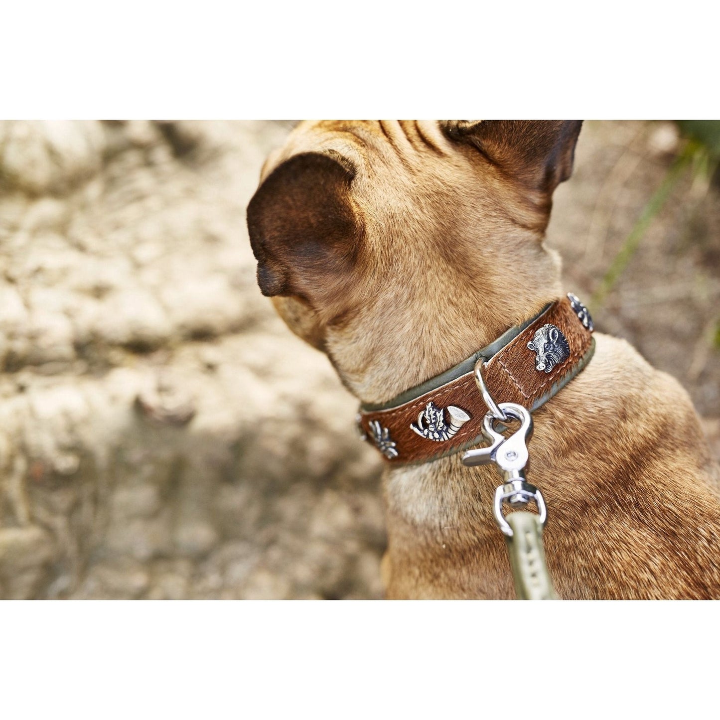 LABONI BAVARIA - Exklusives Hundehalsband im aufregenden Material-Mix - Askmy4Cats