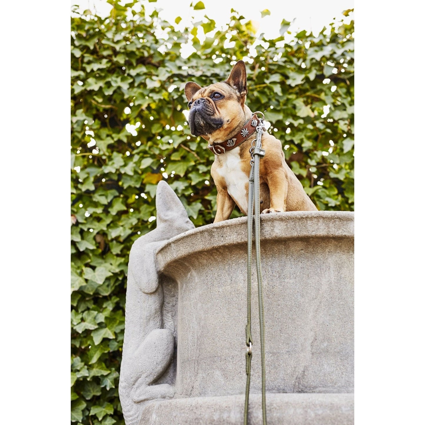 LABONI BAVARIA - Exklusives Hundehalsband im aufregenden Material-Mix - Askmy4Cats