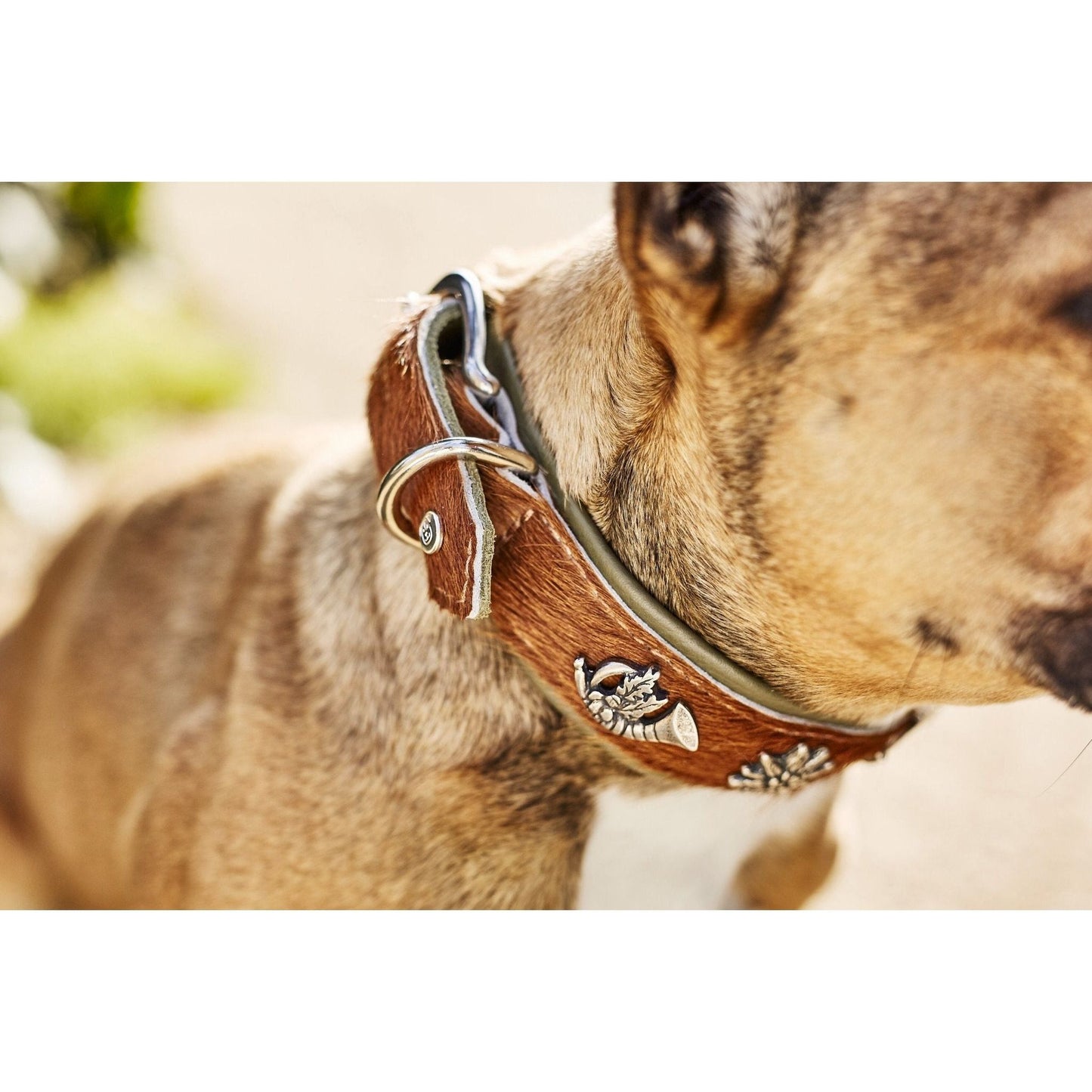LABONI BAVARIA - Exklusives Hundehalsband im aufregenden Material-Mix - Askmy4Cats