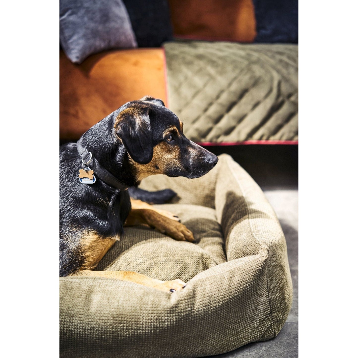 LABONI CLASSIC Hunde Betten - TUDOR - Askmy4Cats