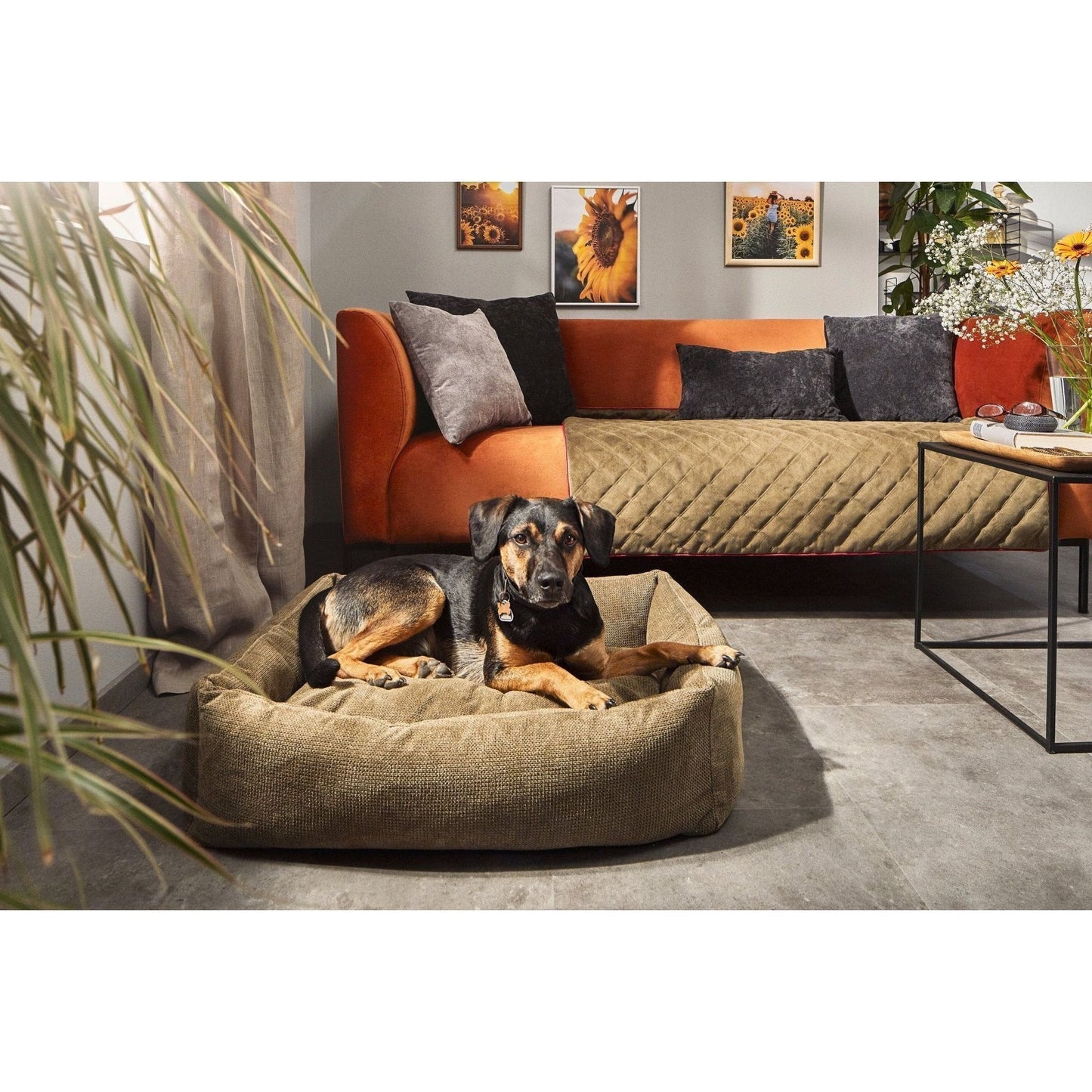 LABONI CLASSIC Hunde Betten - TUDOR - Askmy4Cats