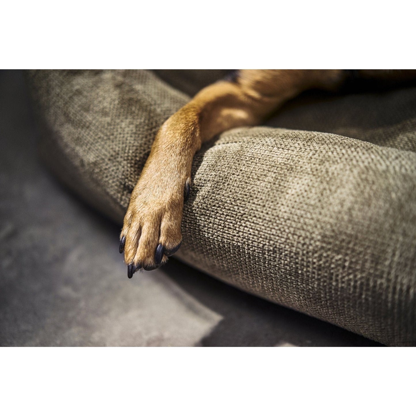 LABONI CLASSIC Hunde Betten - TUDOR - Askmy4Cats
