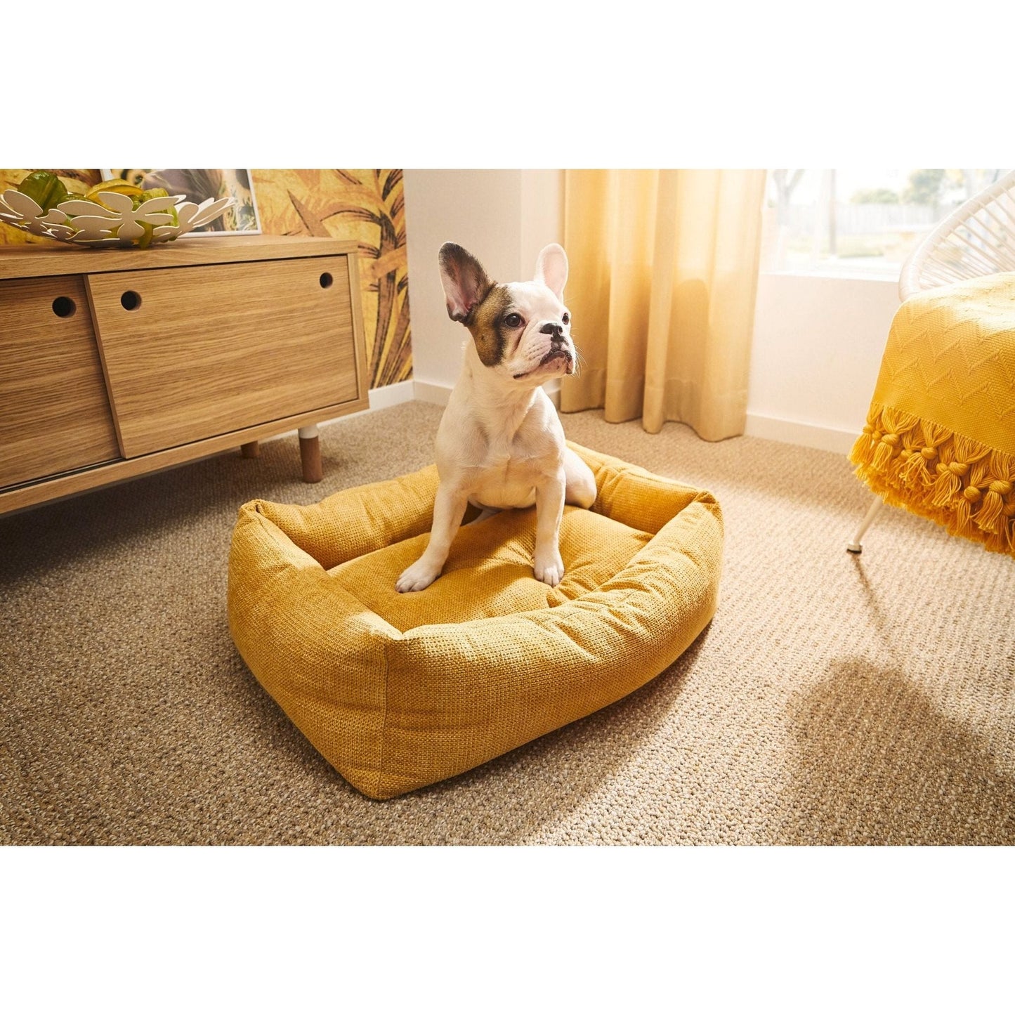 LABONI CLASSIC Hunde Betten - TUDOR - Askmy4Cats