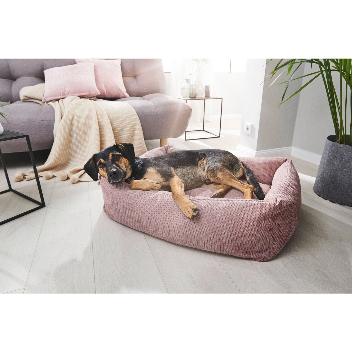LABONI CLASSIC Hunde Betten - TUDOR - Askmy4Cats