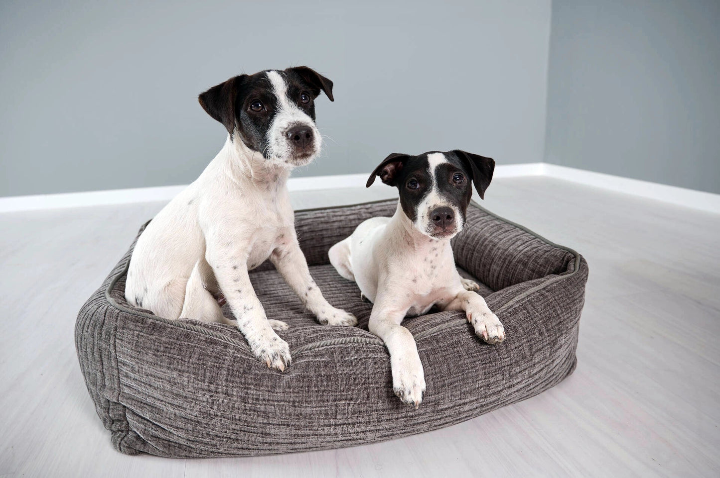 LABONI CLASSIC Hundebett - NOVA - Askmy4Cats