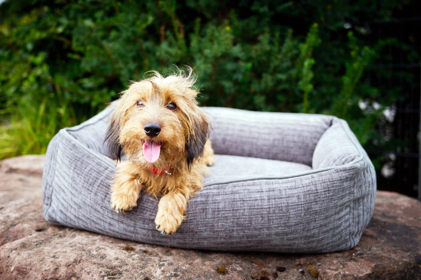 LABONI CLASSIC Hundebett - NOVA - Askmy4Cats