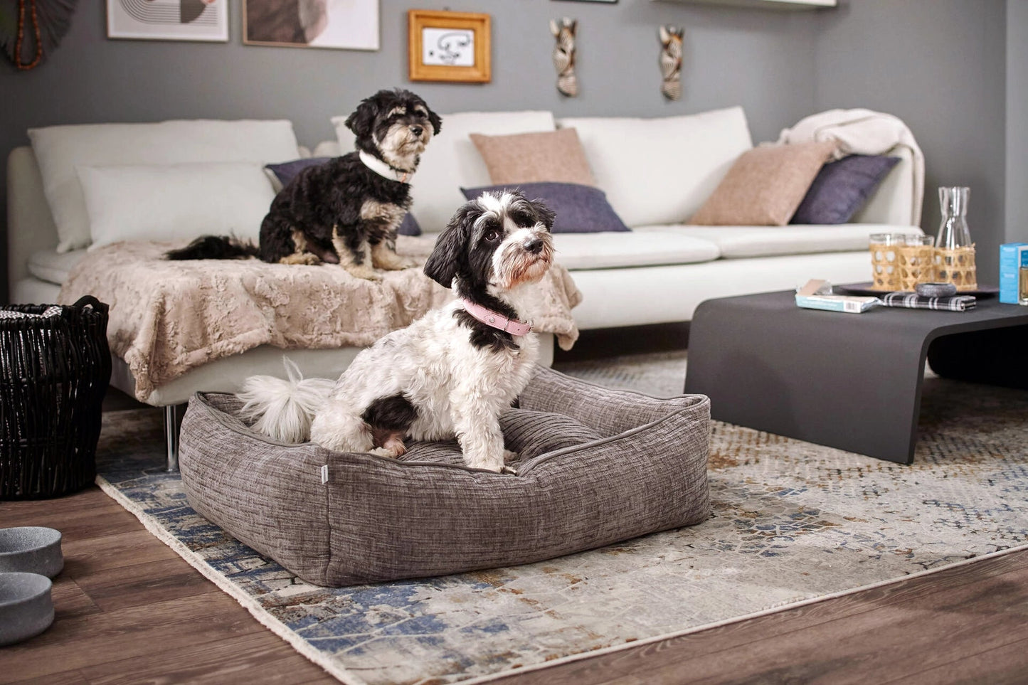LABONI CLASSIC Hundebett - NOVA - Askmy4Cats