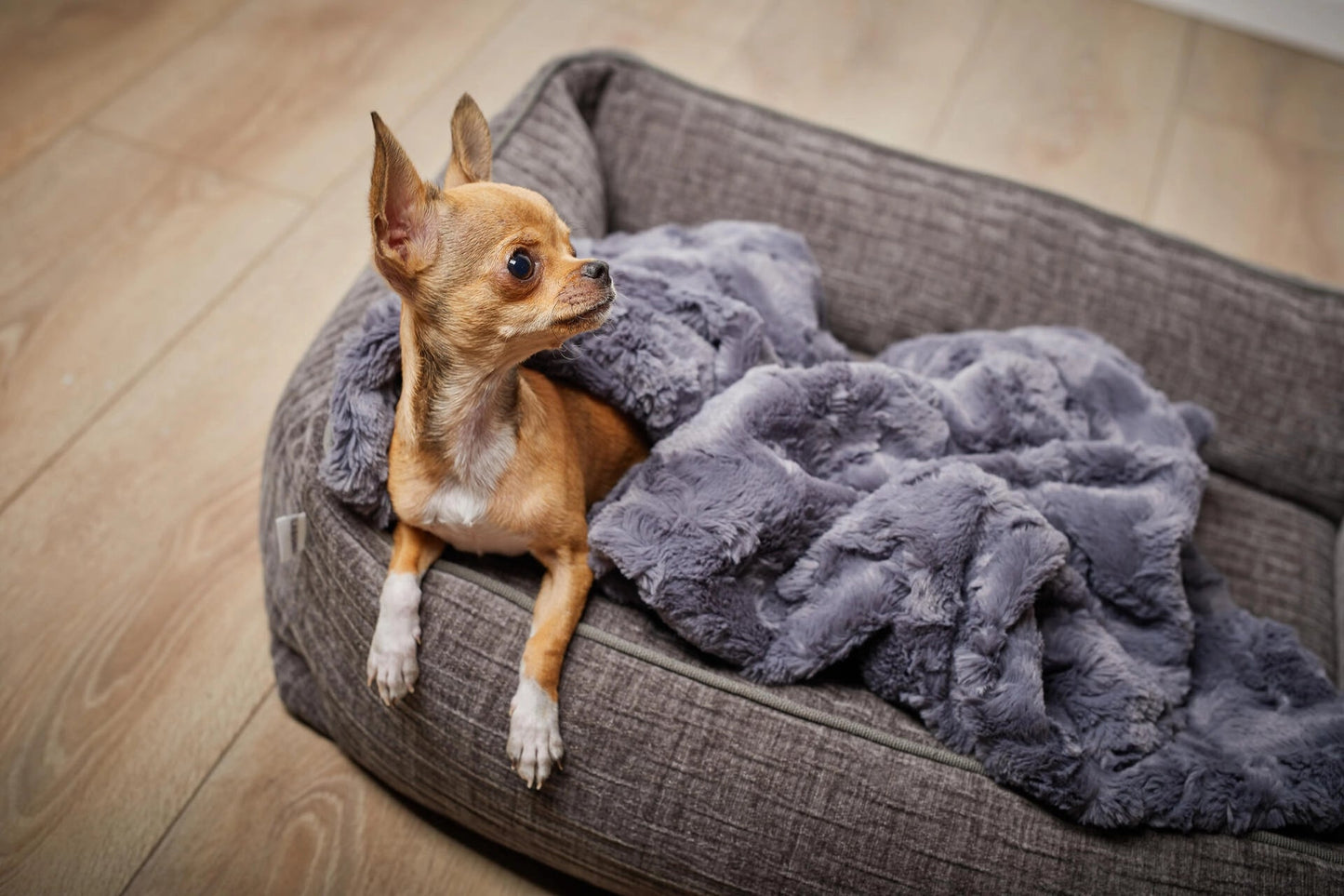 LABONI CLASSIC Hundebett - NOVA - Askmy4Cats