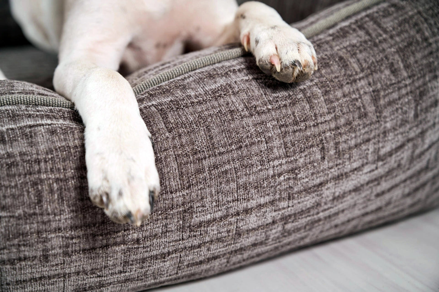 LABONI CLASSIC Hundebett - NOVA - Askmy4Cats