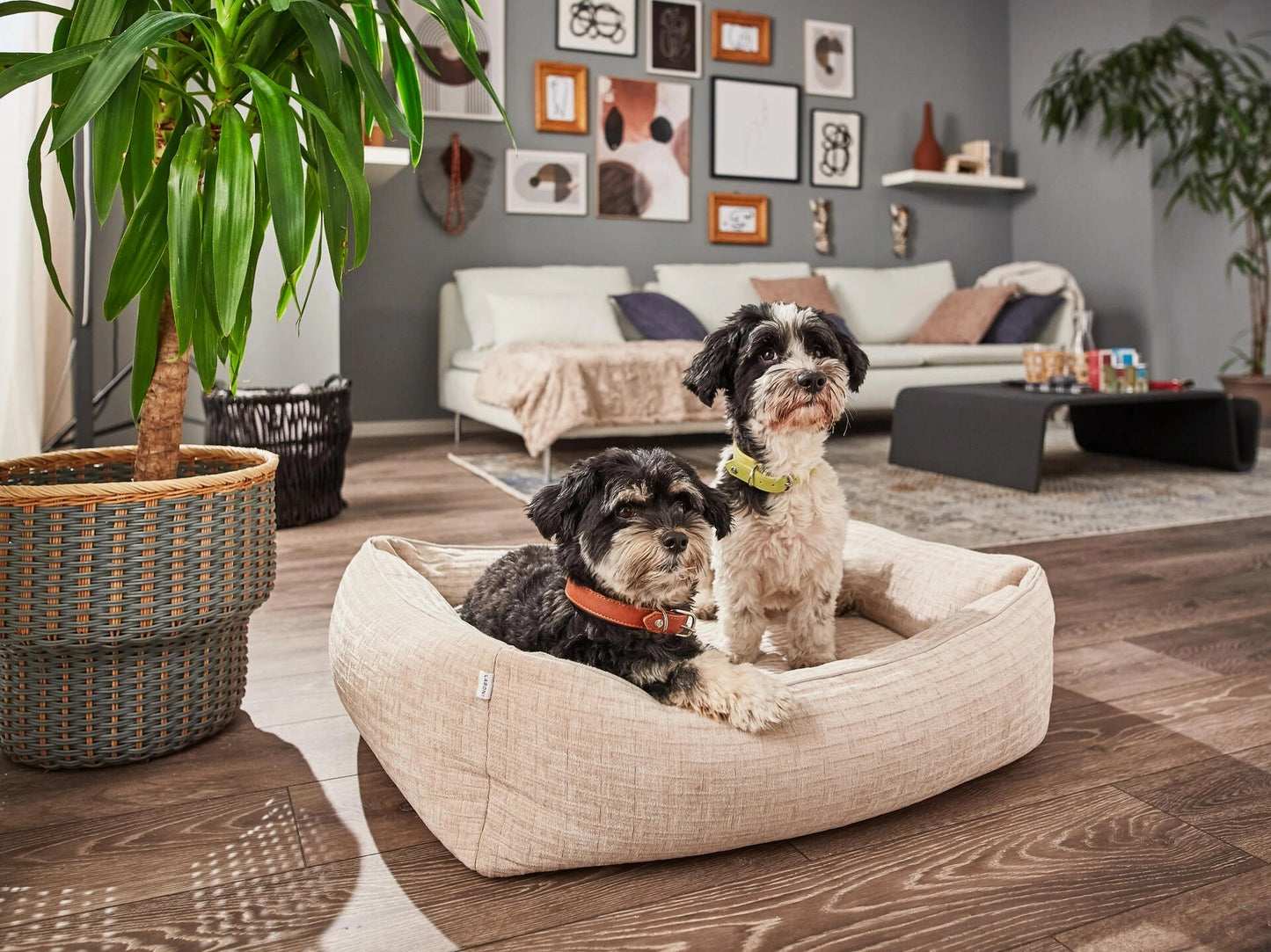 LABONI CLASSIC Hundebett - NOVA - Askmy4Cats