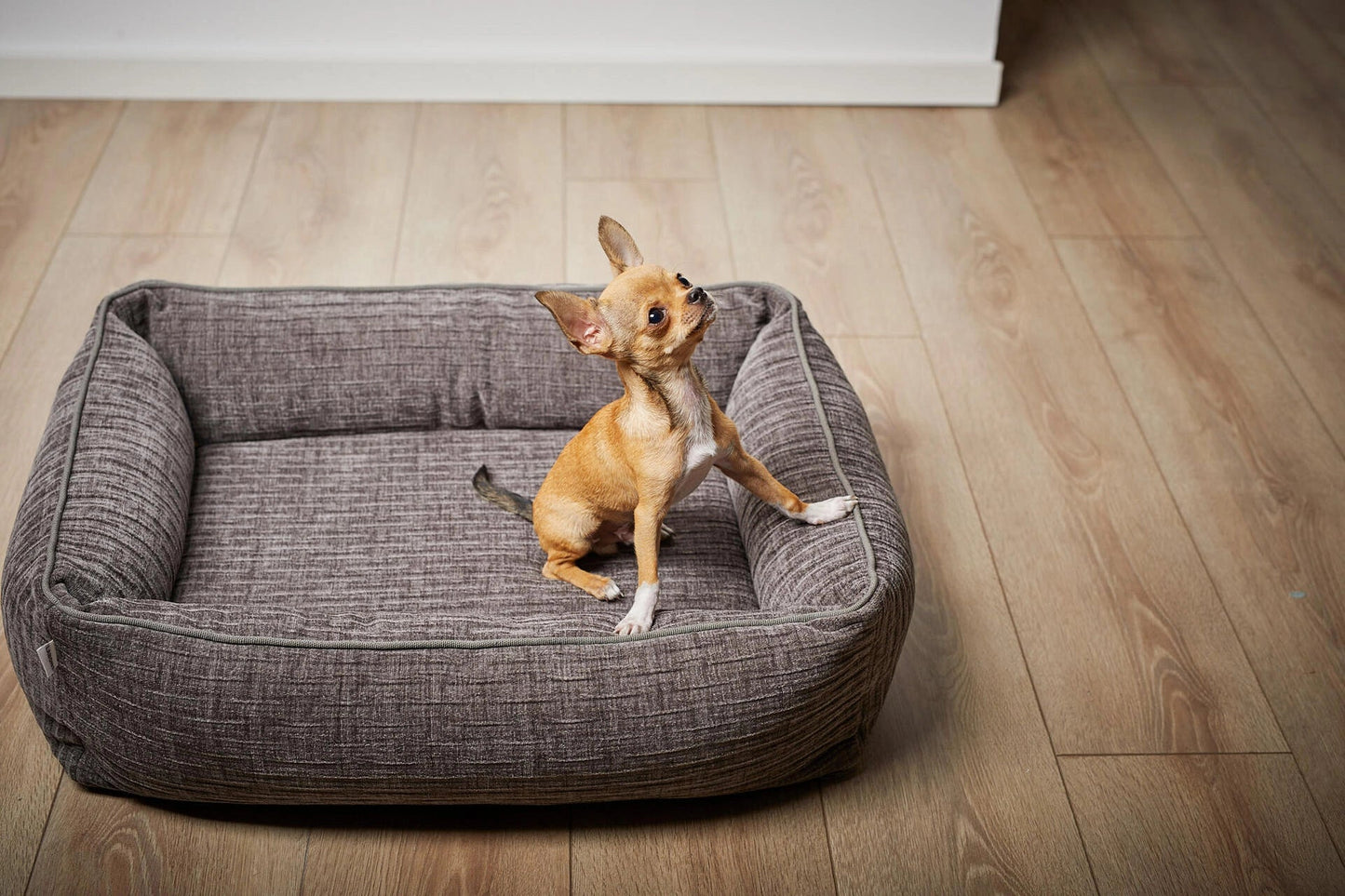 LABONI CLASSIC Hundebett - NOVA - Askmy4Cats