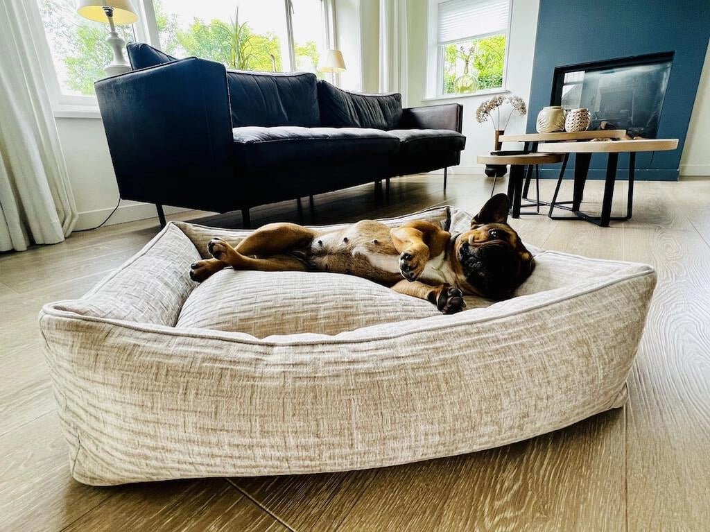 LABONI CLASSIC Hundebett - NOVA - Askmy4Cats