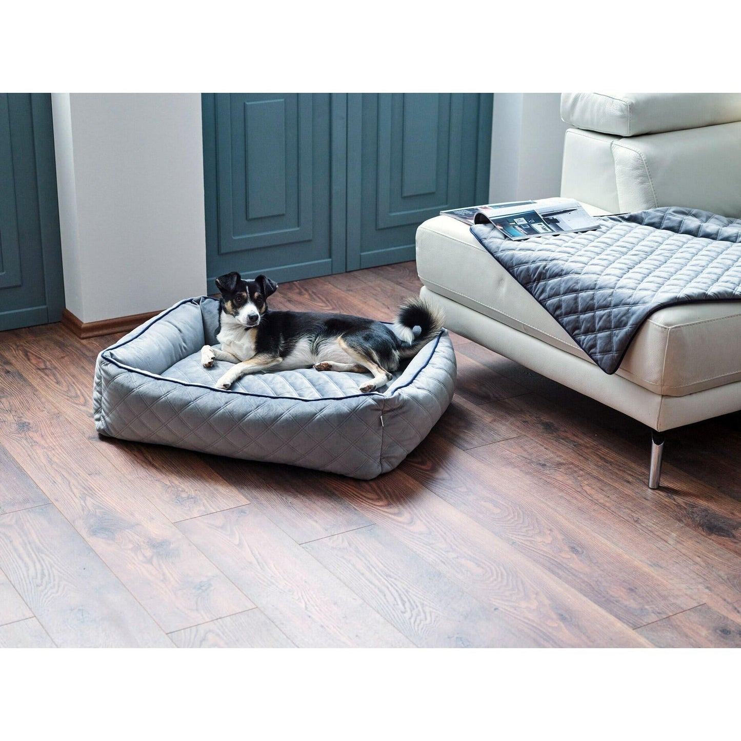 LABONI Decke OXFORD - strapazierfähige Hundedecke in edler Samtoptik - Askmy4Cats